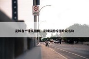 足球各个球队图腾，足球队图标图片及名称