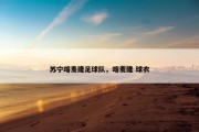 苏宁喀麦隆足球队，喀麦隆 球衣
