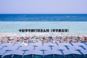 中超李学鹏打球怎么样（李学鹏足球）