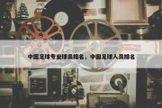 中国足球专业球员排名，中国足球人员排名
