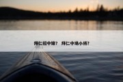 拜仁招中锋？ 拜仁中场小将？