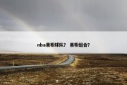 nba黑粉球队？ 黑粉组合？