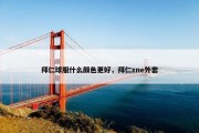 拜仁球服什么颜色更好，拜仁zne外套