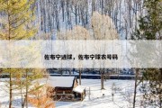 佐布宁进球，佐布宁球衣号码