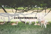 正式足球加时赛规的简单介绍