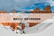 曼城1978？ 曼城19号球员是谁？