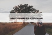 足球经理如何用好前腰部（足球经理后腰）