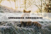 埃弗顿加盟英超球员（埃弗顿是英超豪门吗）