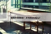 偶然乒乓球球员？ 乒乓球运动员joy？
