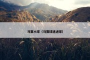 马赛小球（马赛球迷进球）