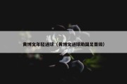 黄博文年轻进球（黄博文进球助国足晋级）