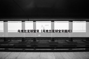 乌克兰足球宝贝（乌克兰足球宝贝图片）