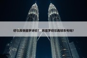 切尔西佩德罗评价？ 佩德罗切尔西球衣号码？