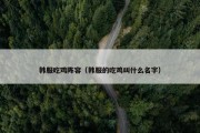 韩服吃鸡阵容（韩服的吃鸡叫什么名字）