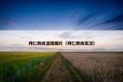 拜仁教练温格图片（拜仁教练实况）