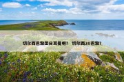 切尔西巴黎圣日耳曼吧？ 切尔西20巴黎？