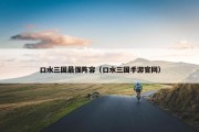口水三国最强阵容（口水三国手游官网）