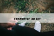 高鹏执法首场中超？ 高鹏 篮球？