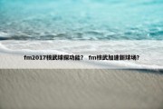 fm2017核武球探功能？ fm核武加速新球场？