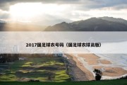2017国足球衣号码（国足球衣球员版）