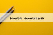 中山永安足球队（中山永安足球队怎么样）