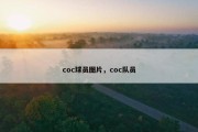 coc球员图片，coc队员