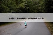 欧洲杯巨大争议丹麦？ 欧洲杯丹麦的战况？
