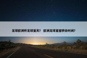 足球欧洲杯足球夏天？ 欧洲足球夏窗转会时间？