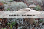 切尔西桌号大全？ 切尔西号码和人名？