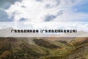 广东青岛足球队名单（广东青岛足球队名单公布）