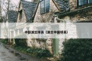 中超波兰球员（波兰中国球员）