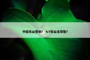 中超乐山警察？ tcf乐山足球塾？