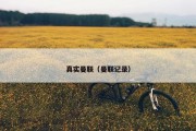 真实曼联（曼联记录）