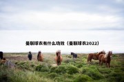 曼联球衣有什么功效（曼联球衣2022）