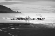 fm2017有权健队吗？ fm2017怎么样？
