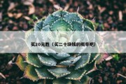 买20元胜（买二十块钱的概率吧）