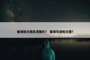 曼城哈兰德高清图片？ 曼城引进哈兰德？
