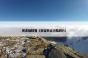 安吉斯联赛（安吉斯近况及照片）