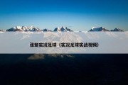 张鹭实况足球（实况足球实战视频）