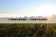 广州有多少家足球队？ 广州有多少支足球队？