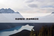 陈道明欧冠（陈道明踢足球）