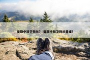 曼联中后卫荷兰？ 曼联中后卫荷兰是谁？
