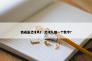 猜成语足球队？ 足球队猜一个数字？