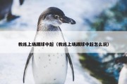 教练上场踢球中超（教练上场踢球中超怎么说）