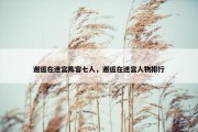 邂逅在迷宫阵容七人，邂逅在迷宫人物排行