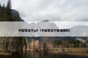 中超张玉宁gif（中超张玉宁被谁踢伤）