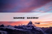 加纳进球数量？ 加纳足球阵容？