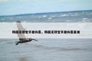 韩国足球宝贝崔向喜，韩国足球宝贝崔向喜是谁