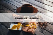 曼城在哪里观看，我想看曼城