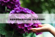 陕西甲醇燃料煲仔炉价格（西安甲醇锅炉）